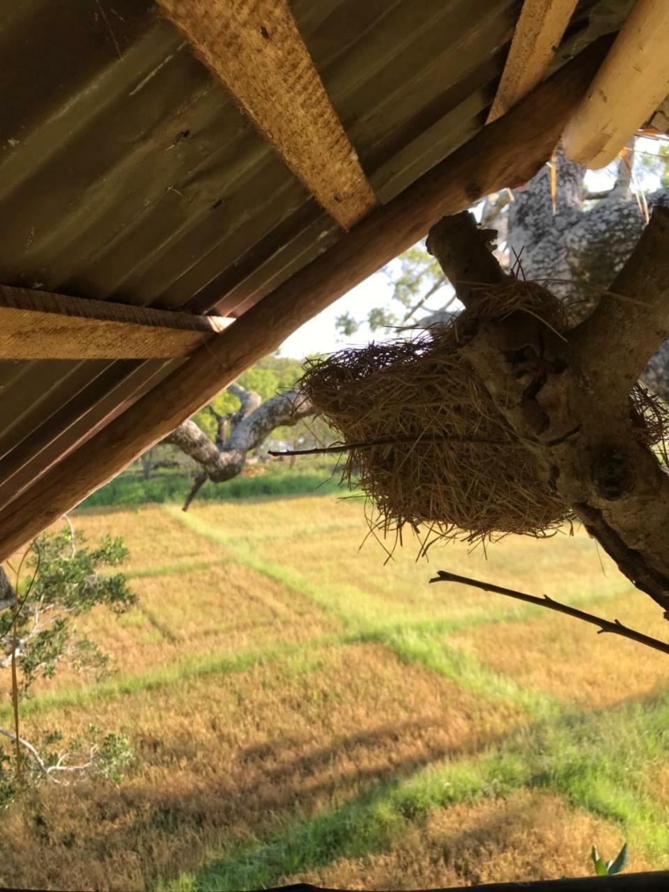Galapita Eco Lodge Buttala Экстерьер фото