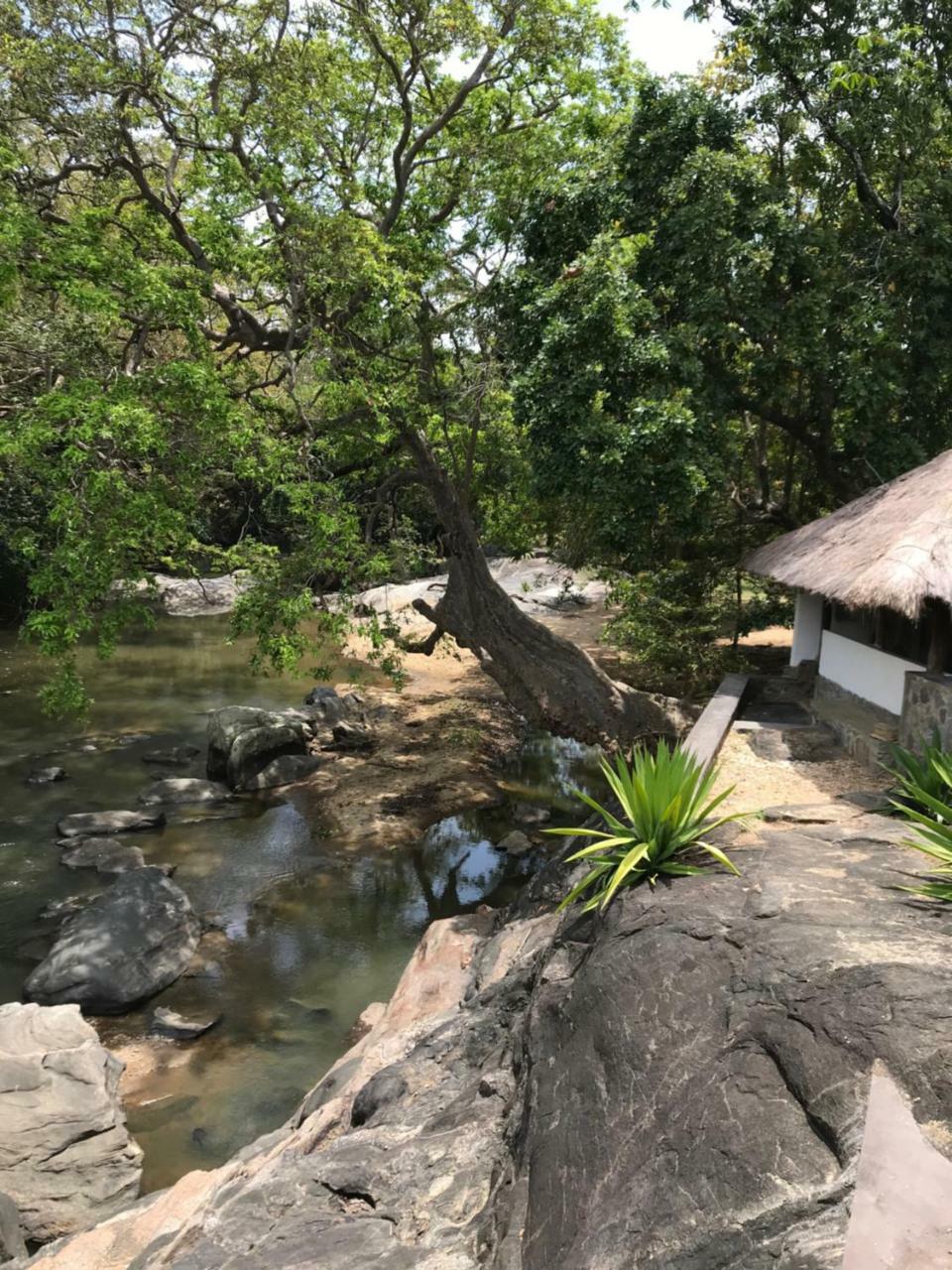 Galapita Eco Lodge Buttala Экстерьер фото