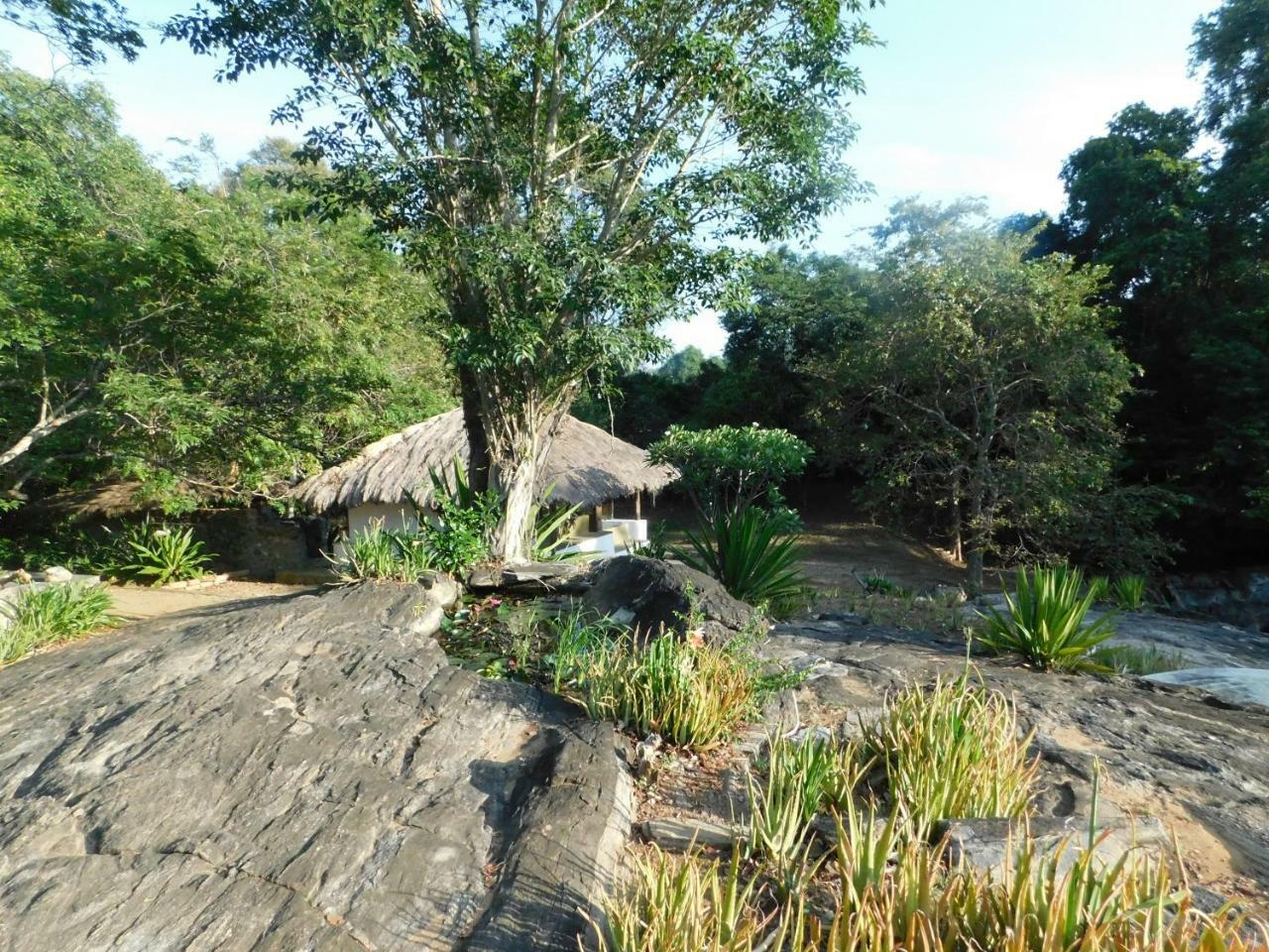Galapita Eco Lodge Buttala Номер фото