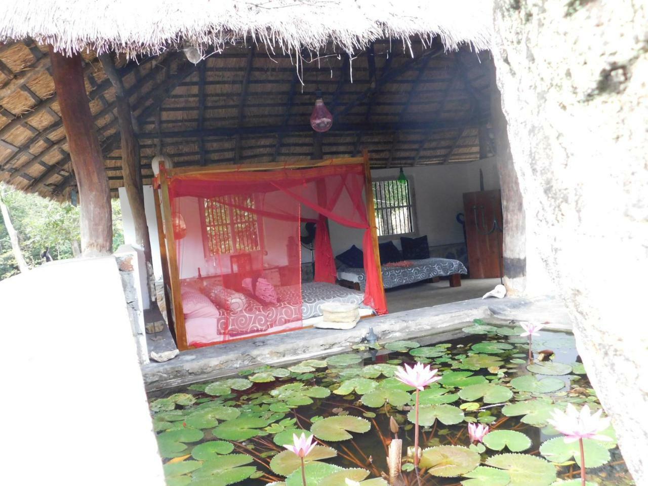Galapita Eco Lodge Buttala Экстерьер фото