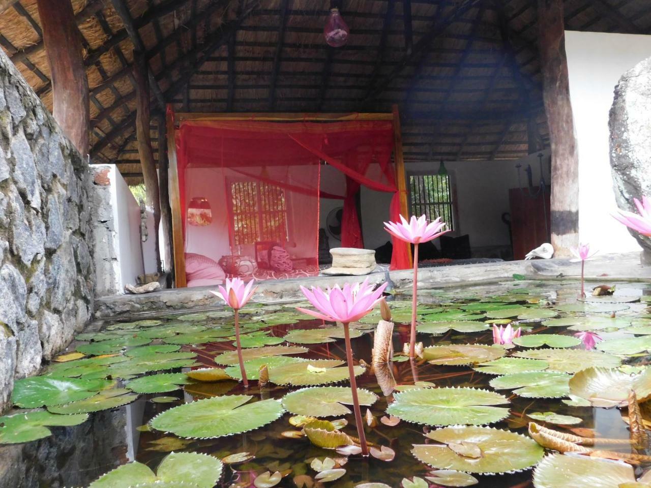 Galapita Eco Lodge Buttala Номер фото