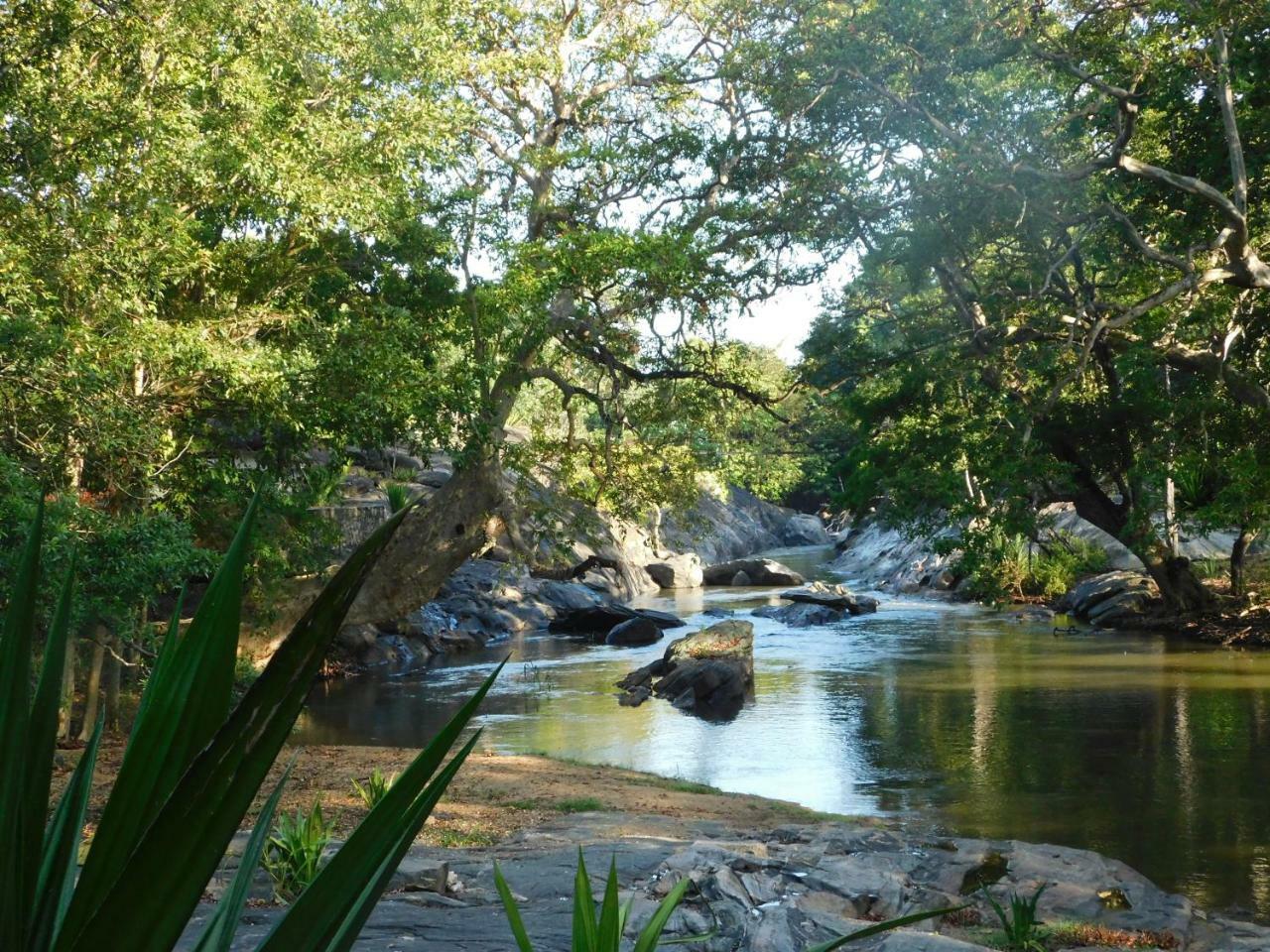 Galapita Eco Lodge Buttala Экстерьер фото